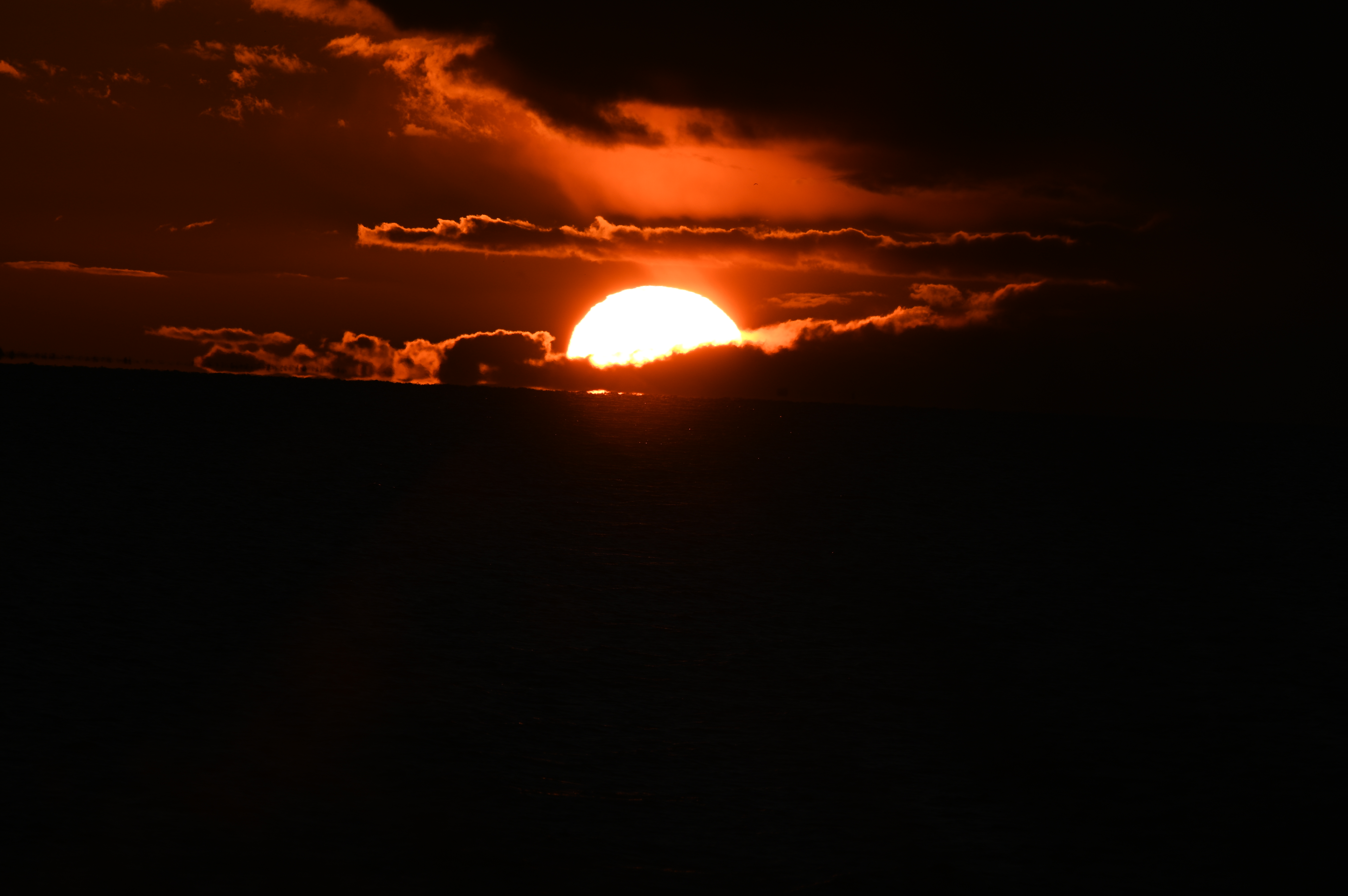 2025/10/18 - walk/DSC_0478.JPG